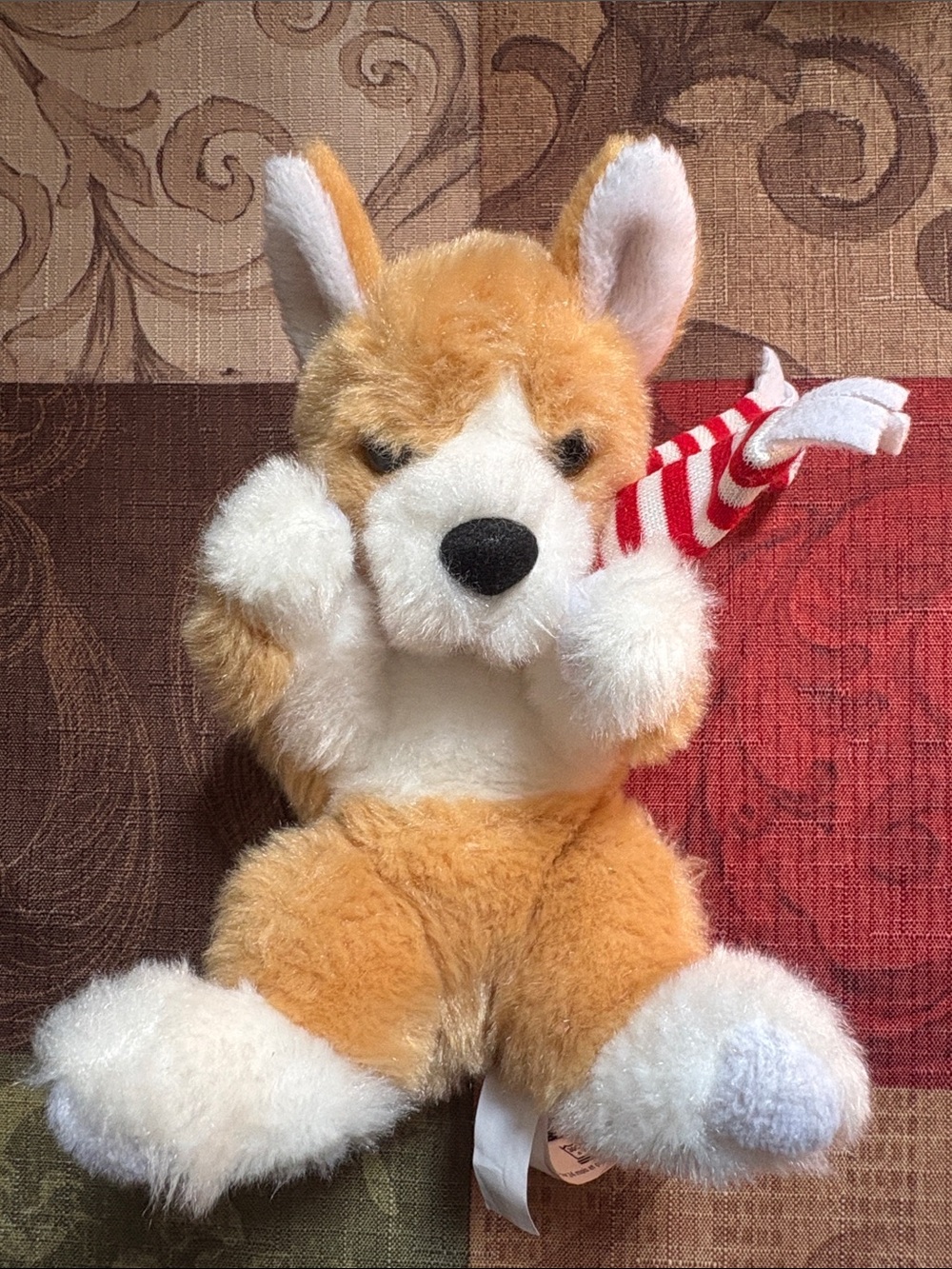 🛍️5/$20🛍️Douglas Corgi Puppy